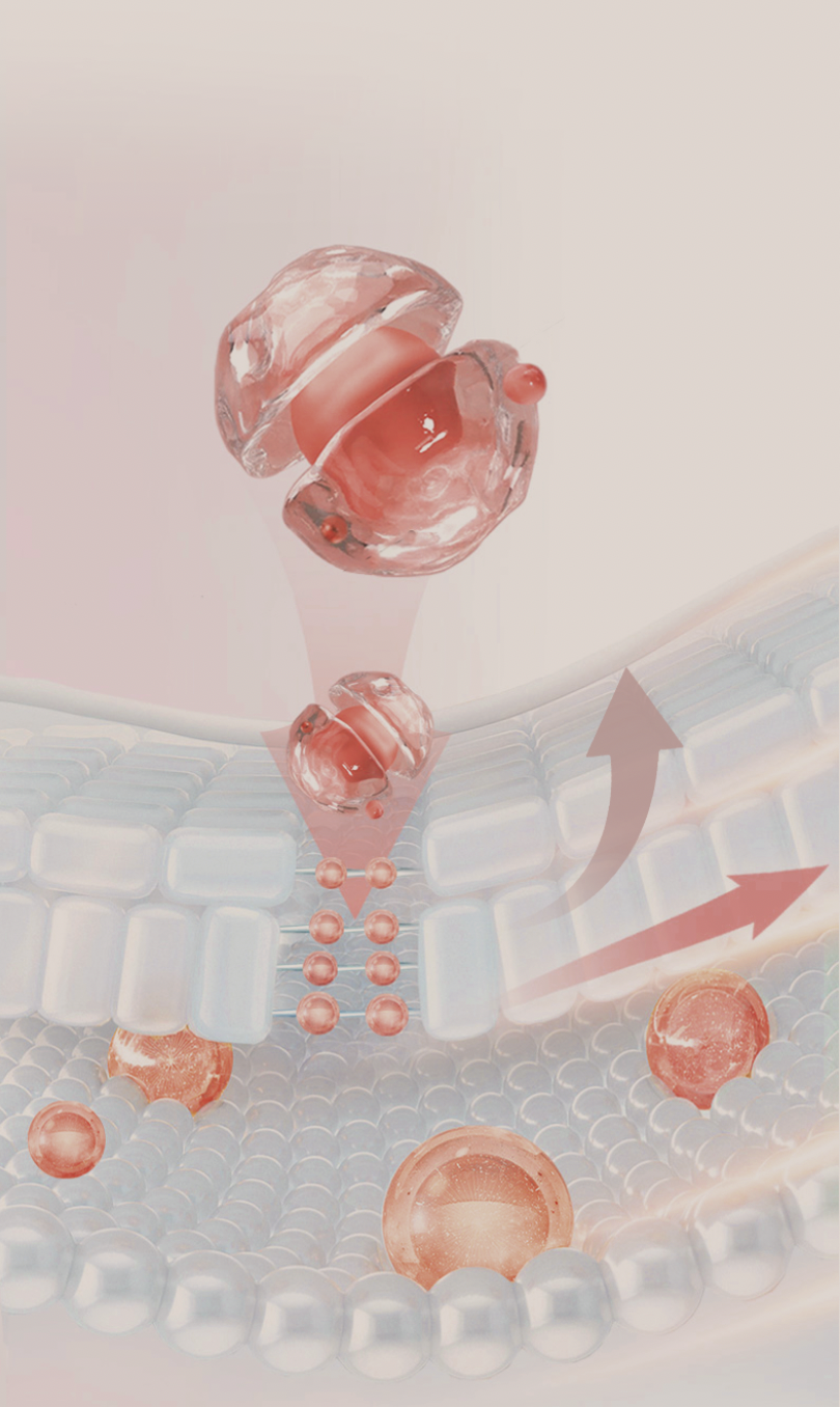 经营业务-创新科研